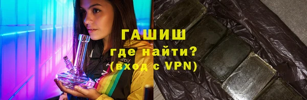 индика Коряжма