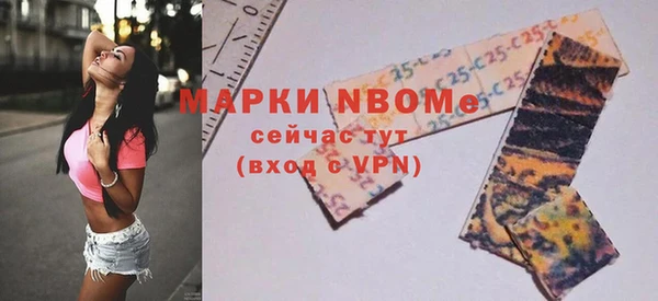 индика Коряжма