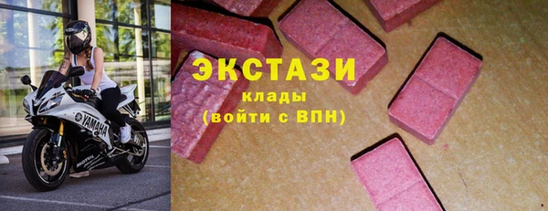 индика Коряжма