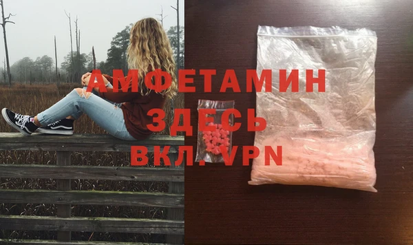индика Коряжма