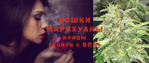 индика Коряжма