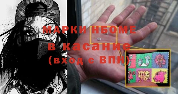 индика Коряжма