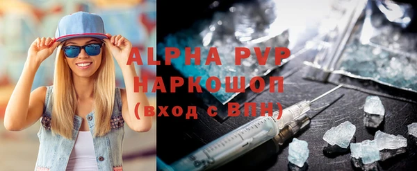 индика Коряжма