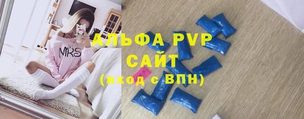 индика Коряжма
